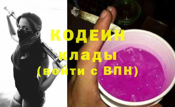 эйфоретик Вяземский