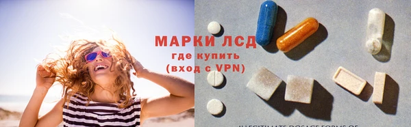 эйфоретик Вяземский