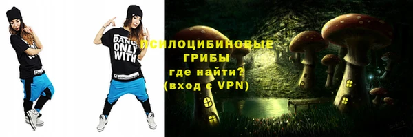 эйфоретик Вяземский