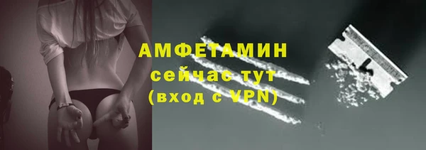 эйфоретик Вяземский