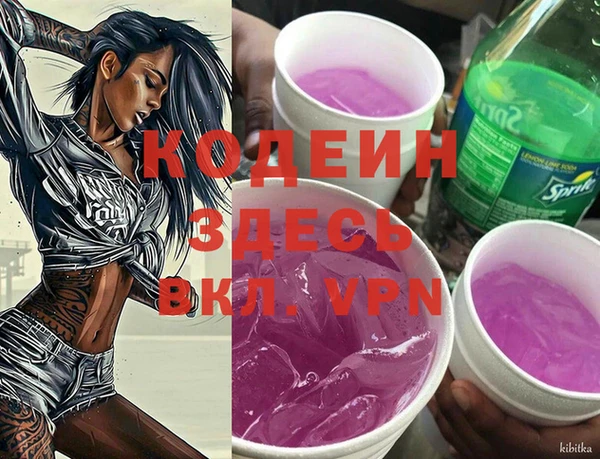 эйфоретик Вяземский
