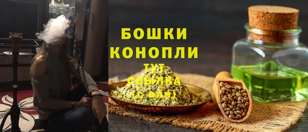 эйфоретик Вяземский