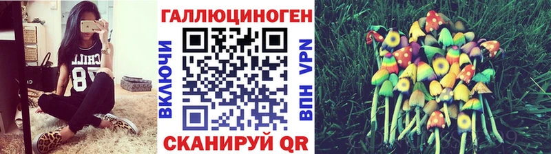 Галлюциногенные грибы прущие грибы KRAKEN ONION Волжский цены