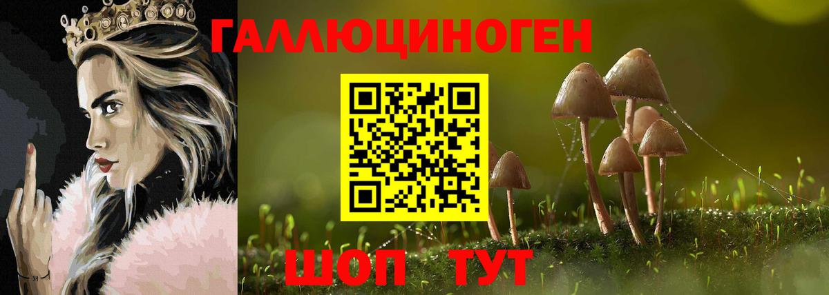 Псилоцибиновые грибы Psilocybe  Волжский 
