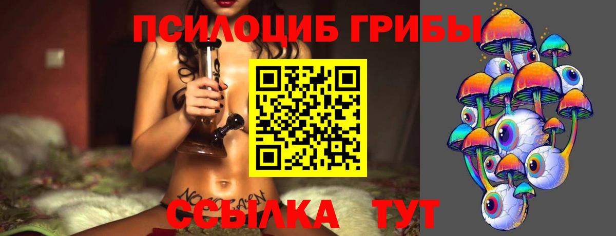 Галлюциногенные грибы Cubensis Волжский